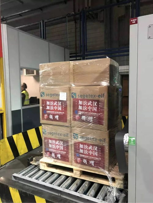 同心戰 疫 旅法僑學商界獻大愛 聯合行動 踴躍捐資捐物支援祖國抗擊疫情 首批醫用物資今空運回國